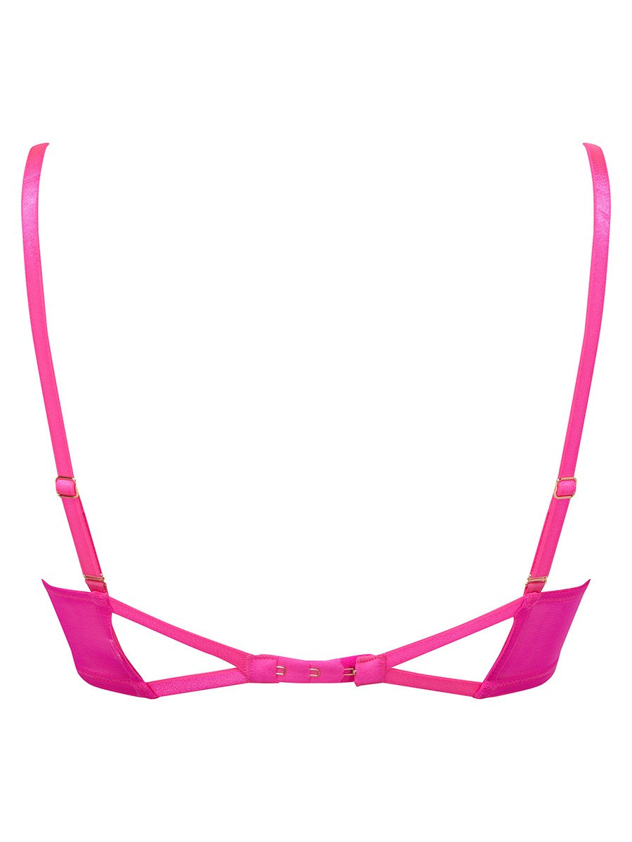 Envy Plunge Bra