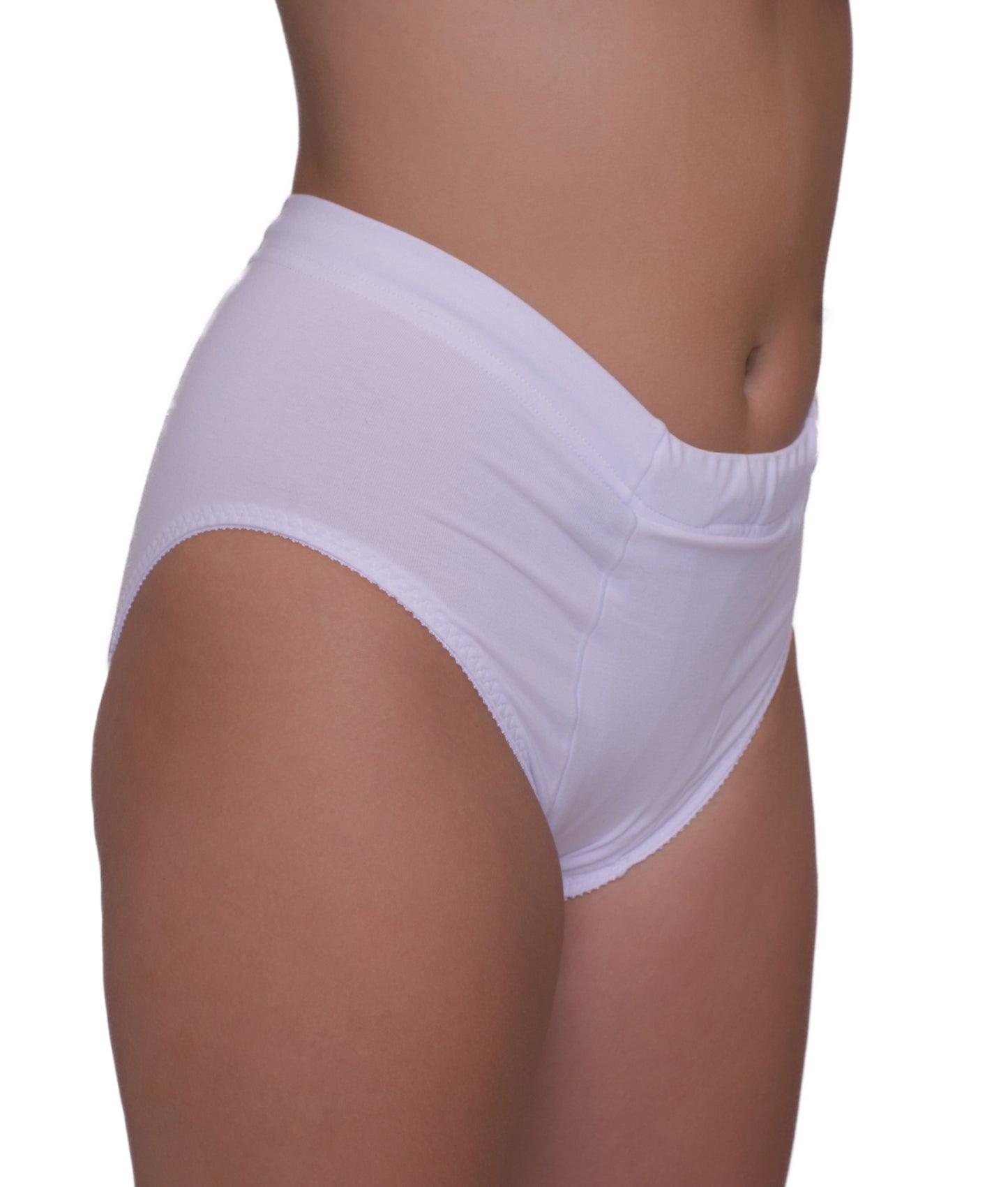 Vulvar Varicosity and Prolapse Support Brief with Groin Compression Bands